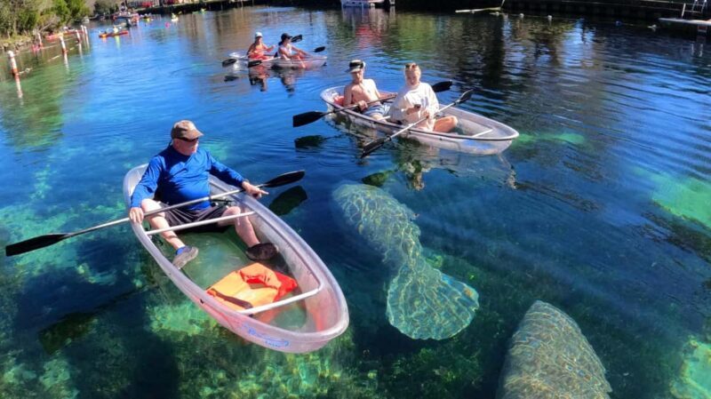 Crystal River: Clear Kayak Sunset & Night Glow Tour - Key Points