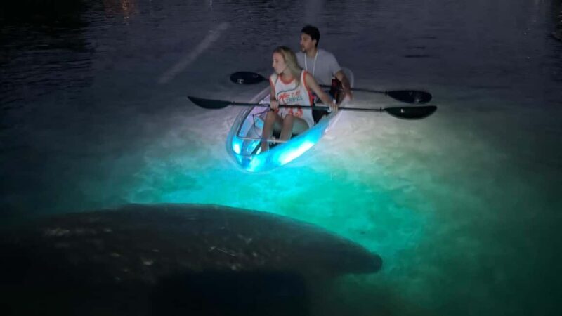 Crystal River: Clear Kayak Sunset & Night Glow Tour - Practicalities and Tips