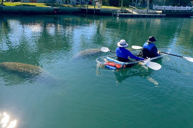 Crystal River Florida: Clear Kayak Guided Manatee Eco-Tour - The Sum Up