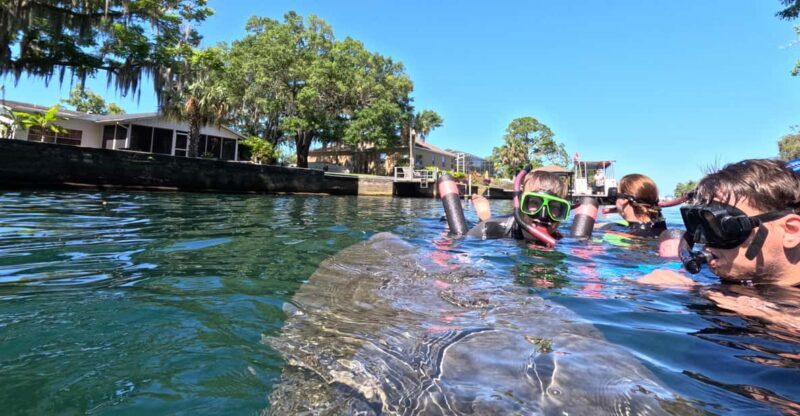 Crystal River: Guided Manatee Snorkeling Tour - Crystal River: Guided Manatee Snorkeling Tour