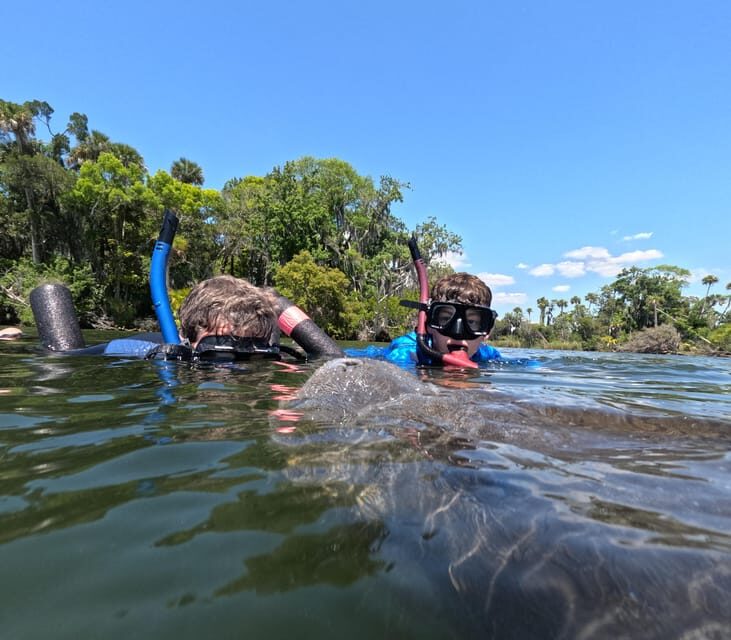 Crystal River: Guided Manatee Snorkeling Tour - Who Will Love This Tour?