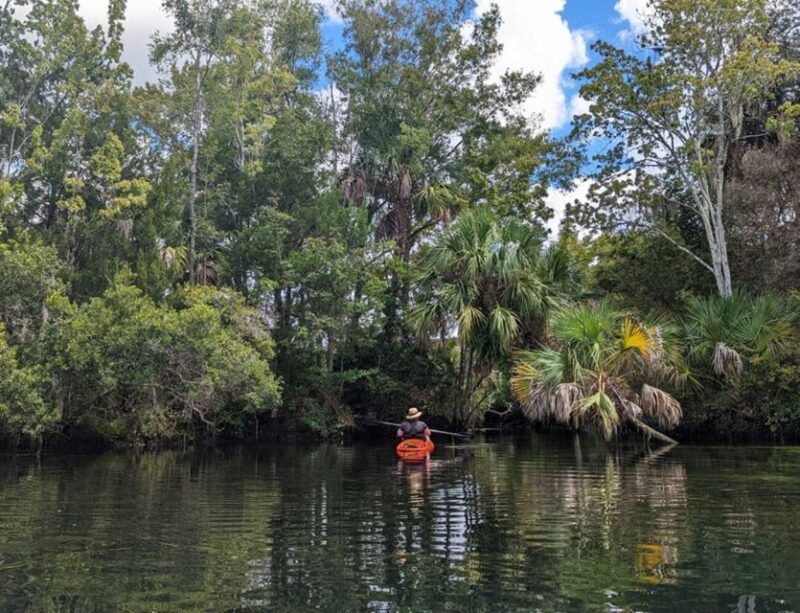 Crystal River: Kayak Rental - Crystal River: Kayak Rental — An Authentic Florida Water Adventure