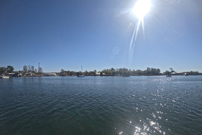 Crystal River: Kings Bay Eco/Sunset Tour - A Detailed Look at the Kings Bay Eco/Sunset Tour