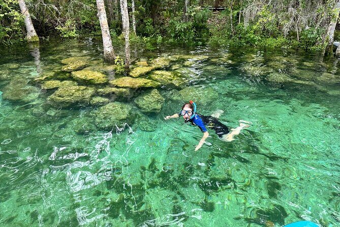 Crystal River Manatee Swim Tour Choose Your Kayak Paddleboard - A Deep Dive into the Crystal River Experience