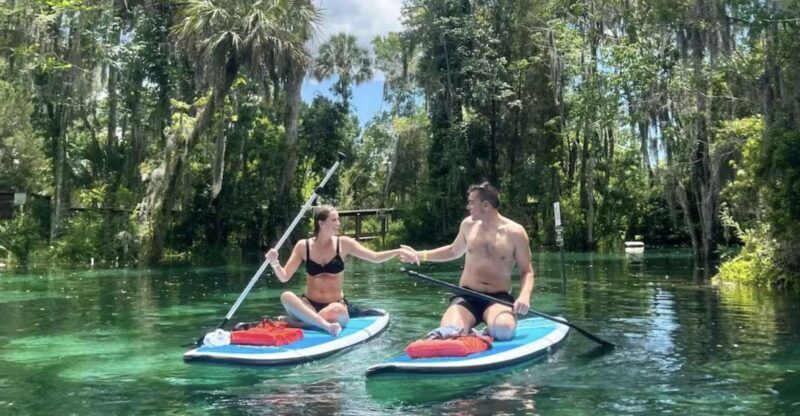 Crystal River: Paddle Board Rental - Discovering the Crystal River Paddleboard Experience