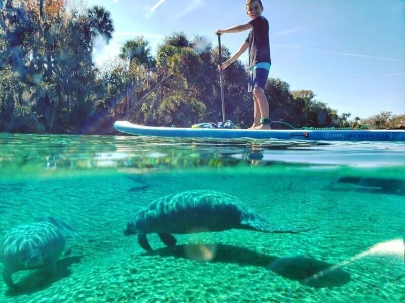 Crystal River: Paddle Board Rental - Who Should Consider This Tour?