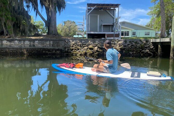 Crystal River Reserve State Park Electric Paddleboard Rentals - The Experience: A Closer Look at Crystal River Paddleboarding