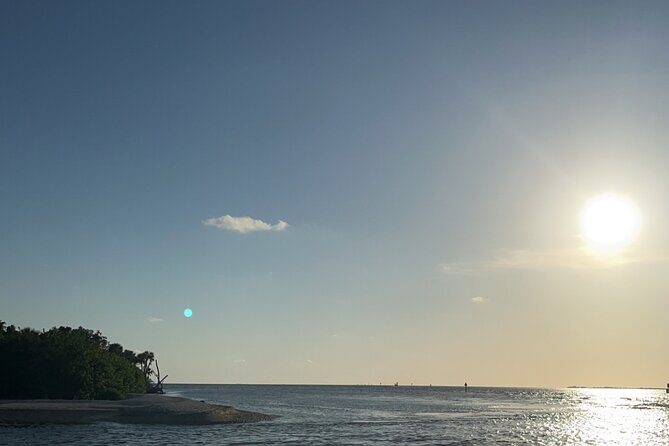 Crystal River Shell Island Adventure - Crystal River Shell Island Adventure: A Nature Lover’s Boat Trip