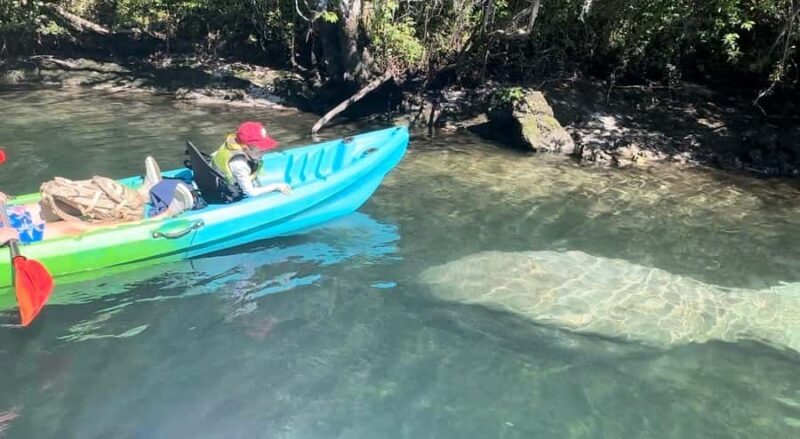 Crystal River: Sunset Kayak with Manatee Viewing Experience - Key Points