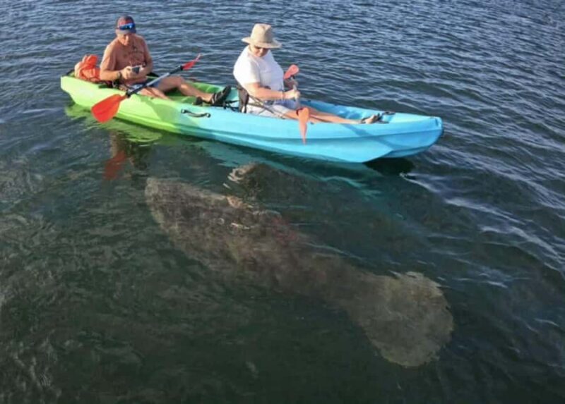 Crystal River: Sunset Kayak with Manatee Viewing Experience - Who Will Find This Tour Most Rewarding?