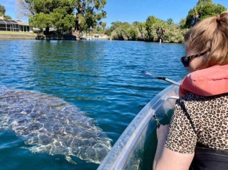 Crystal River: Three Sisters Springs Eco Tour by Clear Kayak - FAQs