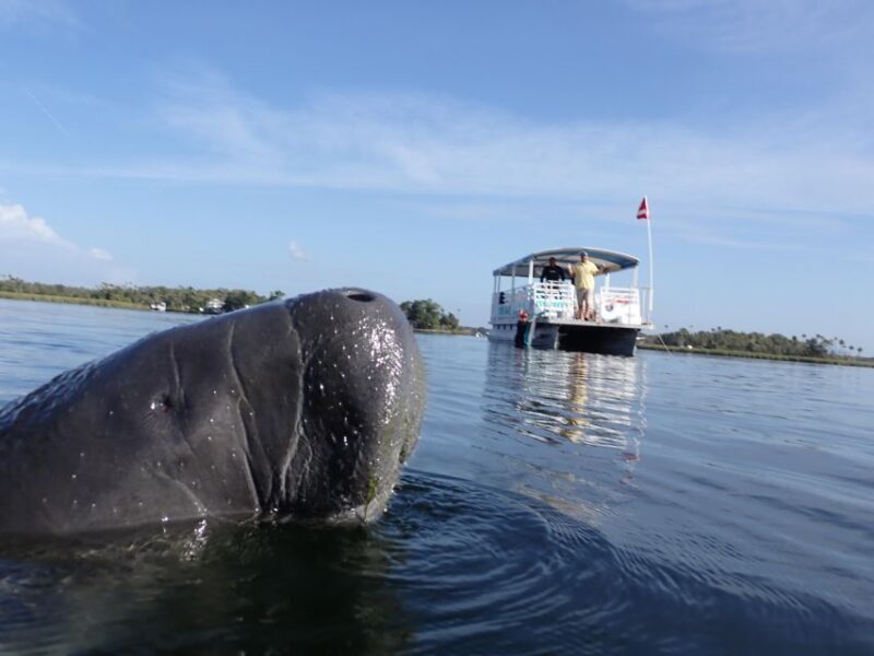 Crystal River: VIP Manatee Swim w/ In-water Photographer - Final Thoughts