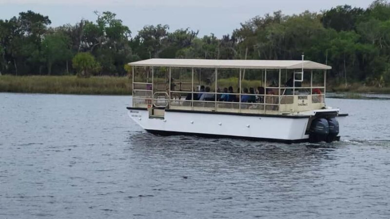 Crystal River: Wildlife Boat Tour with Naturalist Guide - A Deep Dive into the Crystal River Wildlife Boat Tour