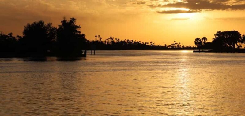 Crystal River: Wildlife Boat Tour with Naturalist Guide - FAQ: Your Questions Answered