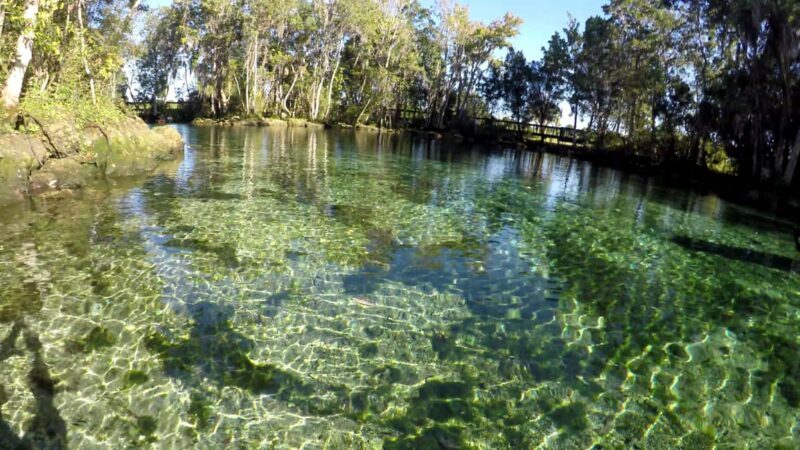 Crystal River:Three Sisters Springs Guided Kayak & Swim Tour - A Detailed Look at the Experience