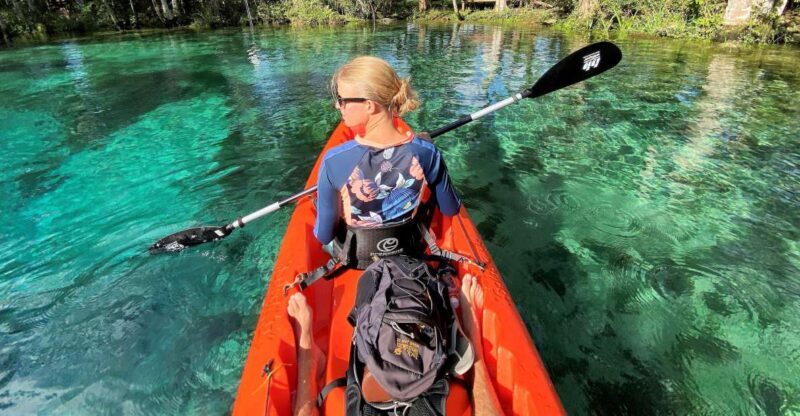 Crystal River:Three Sisters Springs Guided Kayak & Swim Tour - The Value of This Tour