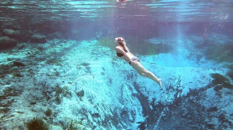Crystal River:Three Sisters Springs Guided Kayak & Swim Tour - FAQ