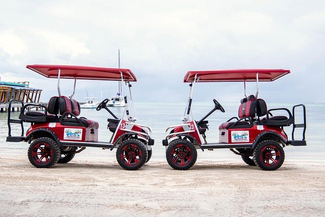 C&S (4 Seater) Golf Cart Rentals - In-Depth Look at the Golf Cart Rental Experience