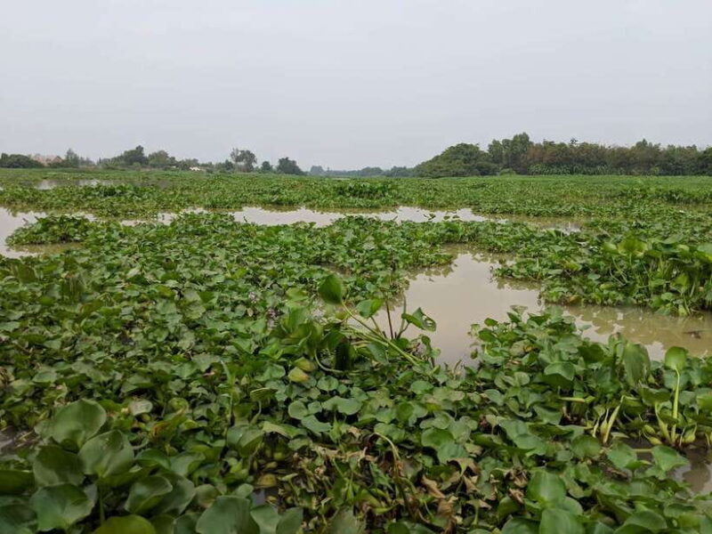 Cu Chi Tunnels & Mekong Delta Small Group Tour Full Day - Key Points