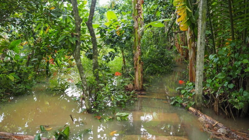 Cu Chi Tunnels & Mekong Delta Small Group Tour Full Day - A Detailed Look at the Day Itself