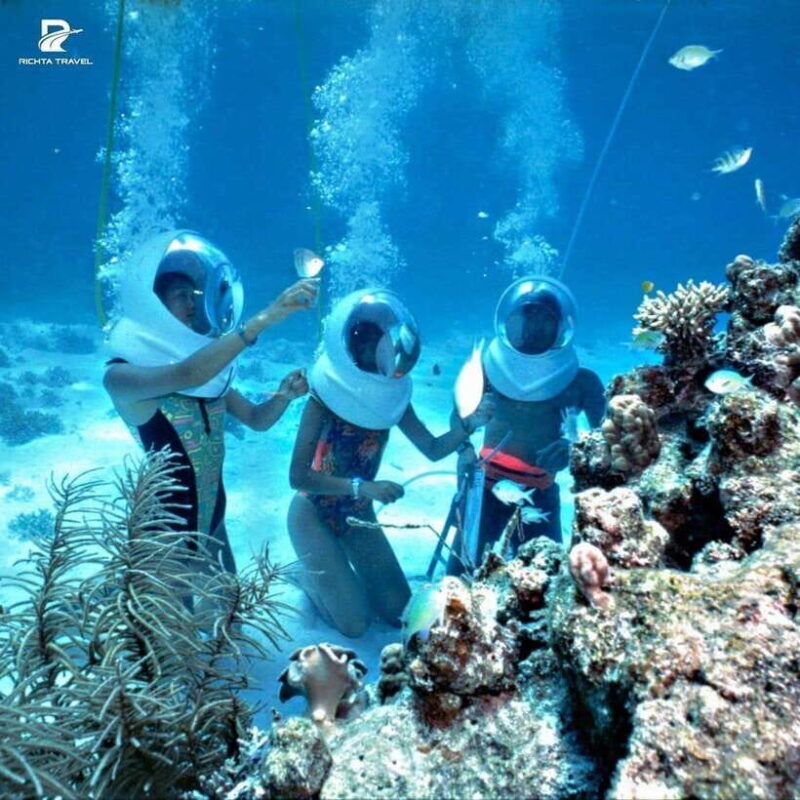 Cu Lao Cham Island Snorkeling Tour With Optional Sea Walking - Key Points