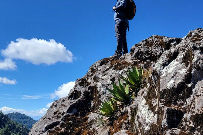 Cuajimoloyas Private Hiking Bushwalking Oaxaca Adventure - Exploring the Cuajimoloyas Private Hiking Tour: A Deep Dive into Oaxaca’s Sierra Norte