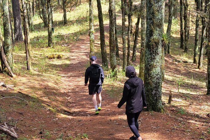 Cuajimoloyas Private Hiking Bushwalking Oaxaca Adventure - FAQs