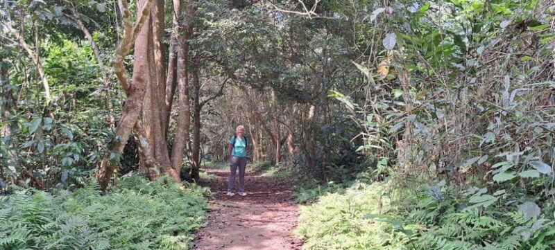 Cuc Phuong Day Trip From Hanoi - An In-Depth Look at the Cuc Phuong Day Trip