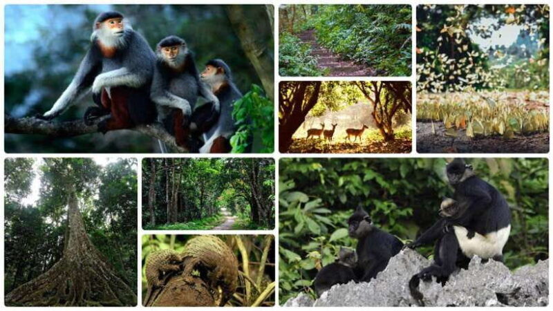 Cuc Phuong National Park Adventure: Nature Tour in 1 day - The Sum Up
