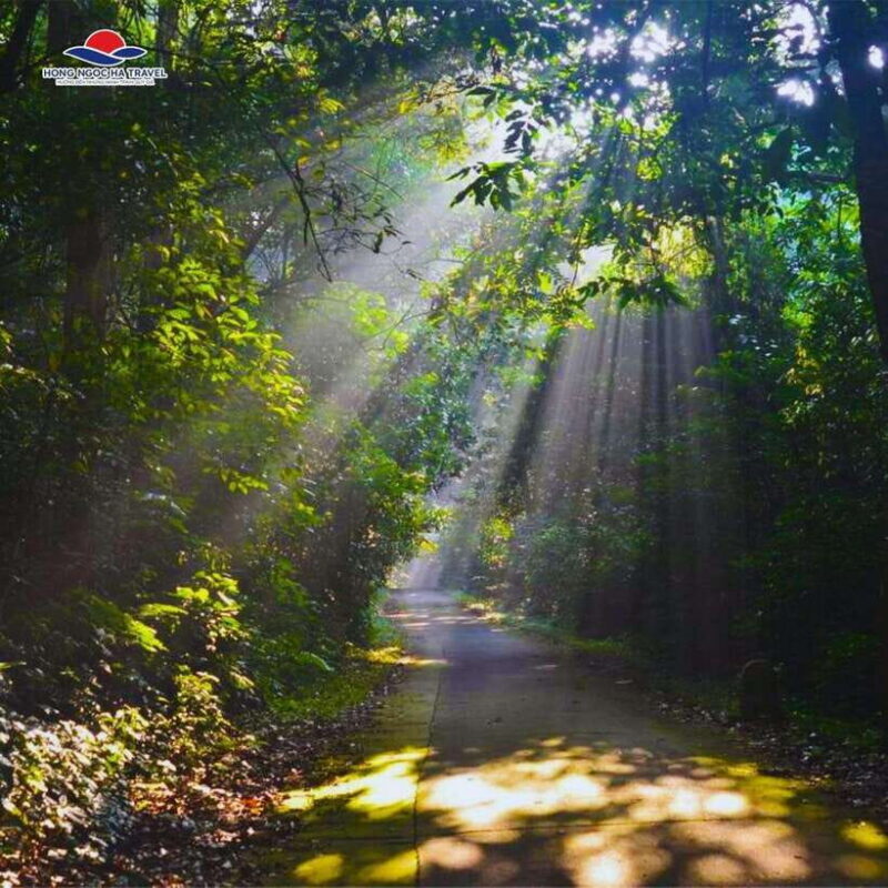 Cuc Phuong National Park And Van Long Wetlands 2 Days Tour - Final Thoughts: Who Should Consider This Tour?