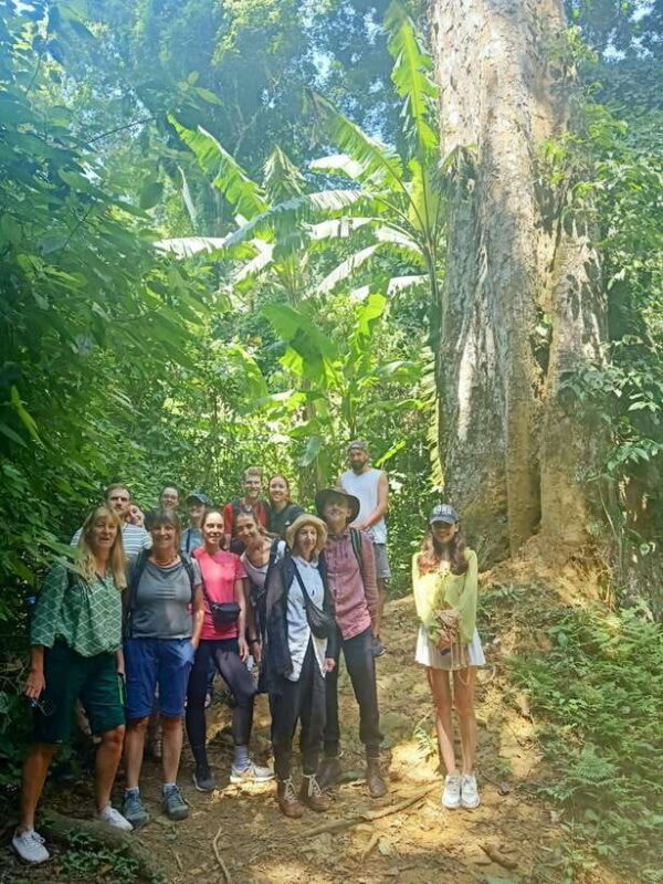 Cuc Phuong National Park Full Day Trip From Hanoi - Practical Tips for Travelers