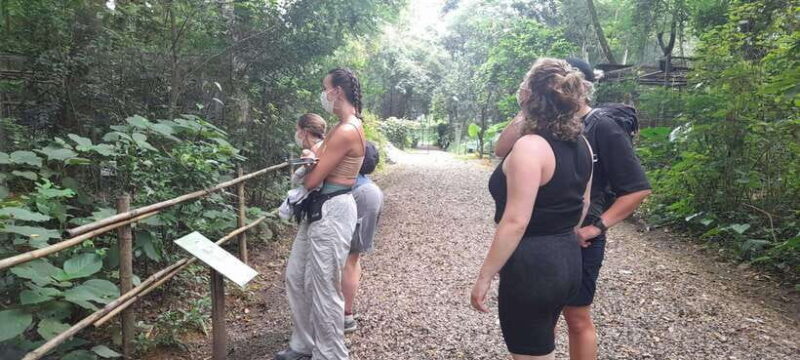 Cuc Phuong National Park Hiking Tour - Detailed Review of the Cuc Phuong National Park Hiking Tour