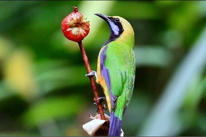 CUC Phuong National Park One Day Small Group - Exploring Cuc Phuong National Park: A Balanced Adventure