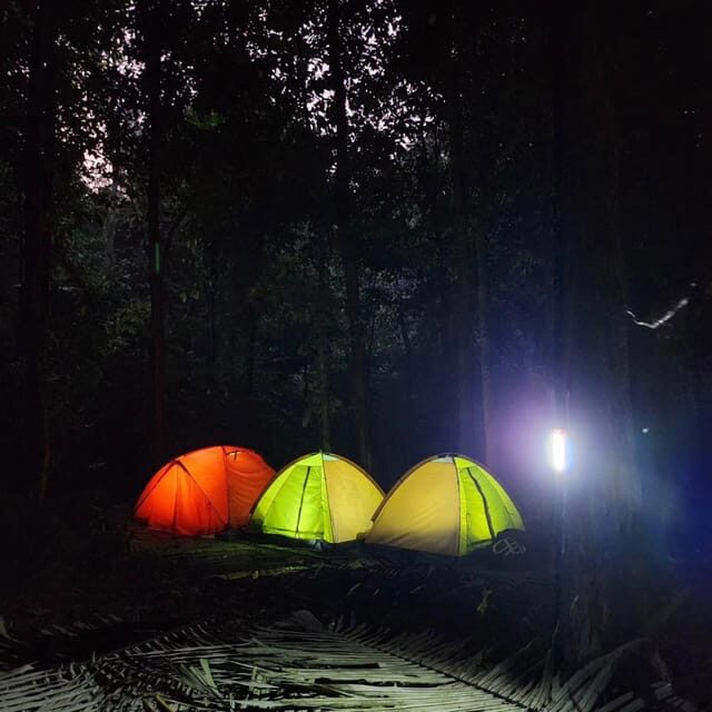 Cuc Phuong National Park: Trek & Camp in Jungle 2 days - A Detailed Look at the Cuc Phuong Trek & Camp Experience