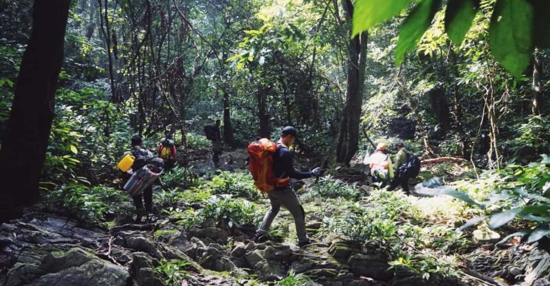 Cuc Phuong National Park: Trek & Camp in Jungle 2 days - Why This Tour Offers Excellent Value