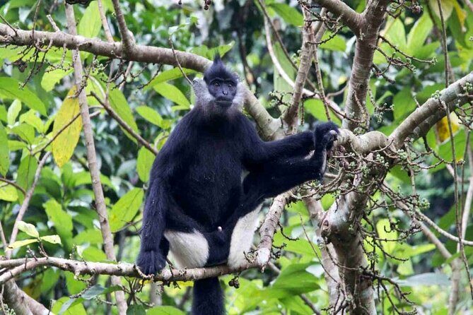 Cuc Phuong National Park Trekking: Private Day Tour From Hanoi - Key Points