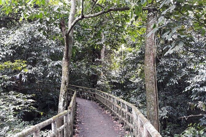 Cuc Phuong National Park Trekking: Private Day Tour From Hanoi - Analyzing the Experience: What Works Well