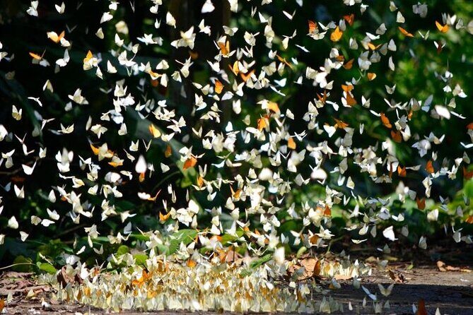 Cuc Phuong National Park Trekking: Private Day Tour From Hanoi - FAQs