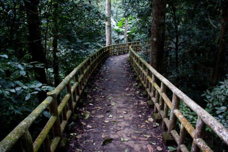 Cuc Phuong -Van Long Day Trip From Hanoi With Lunch/Transfer - Van Long Wetland: Peaceful Boat Ride and Birdwatching