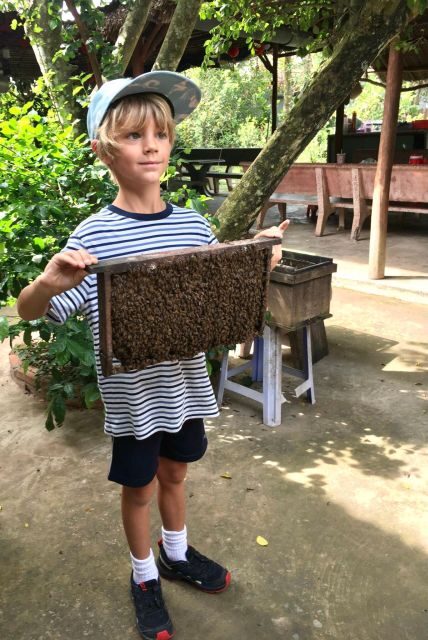 CUCHI TUNNEL & MEKONG DELTA SUPERIOR SERVICE FULL-DAY TOUR - What to Expect: An In-Depth Look