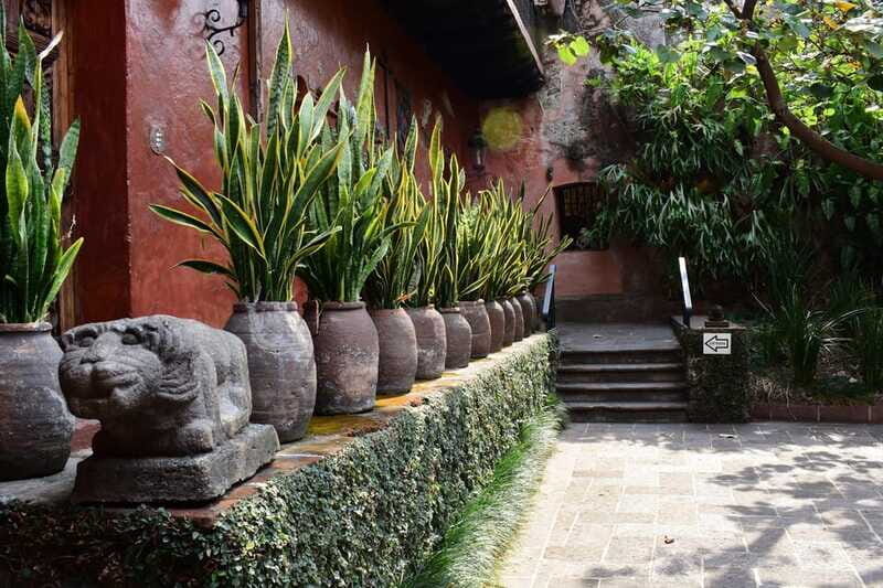 Cuernavaca: Museo Robert Brady Entrance Tickets - Why You’ll Love Visiting