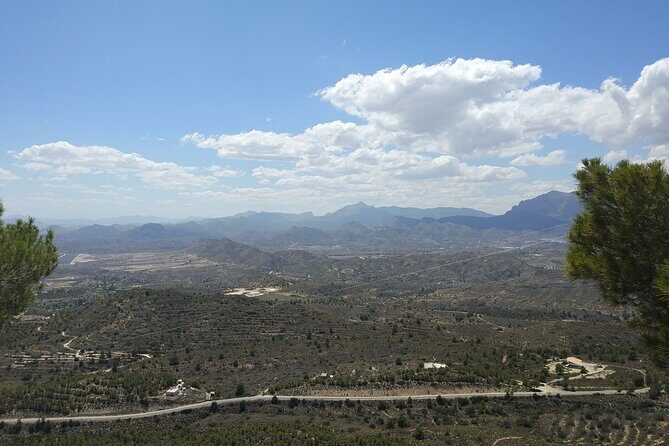 Cueva Canelobre and village Busot tour from Alicante and Campello - Potential Drawbacks to Consider