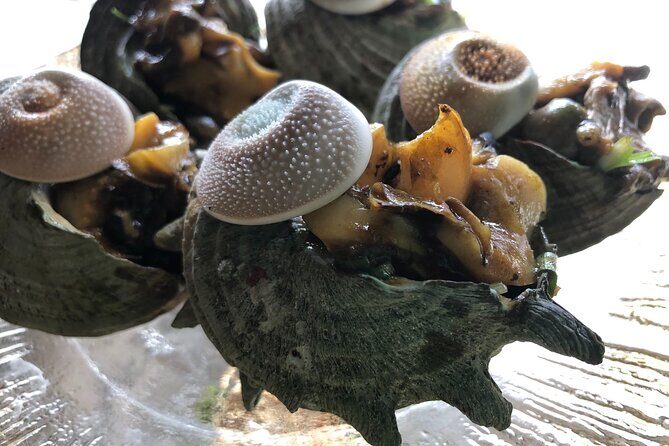 Cuisine of Nachikatsuura and Kumano - The Sum Up: Who Should Consider This Experience?