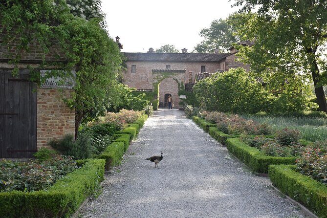 Culatello and more: Private Full-Day Food Tour in Parma - Introduction: A Taste of Parma You Wont Forget