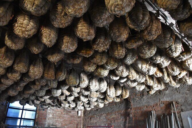Culatello and more: Private Full-Day Food Tour in Parma - Final Thoughts