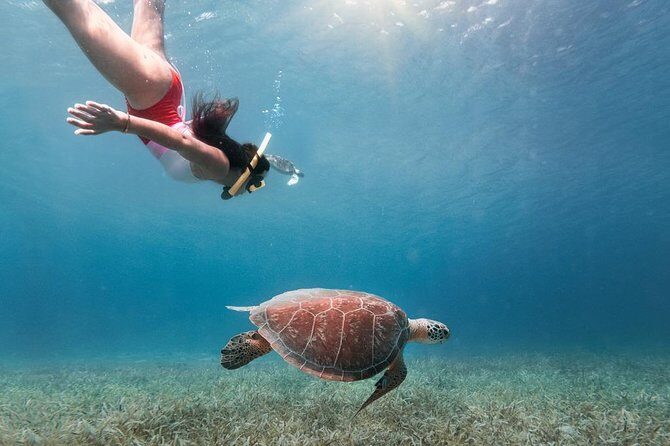 Culebra Snorkel and Turtle Adventure with Transport - The Experience in Detail