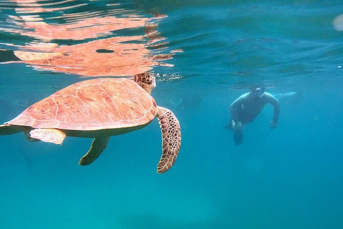 Culebra Snorkel and Turtle Adventure with Transport - Parting Thoughts: Who Should Consider This Tour?