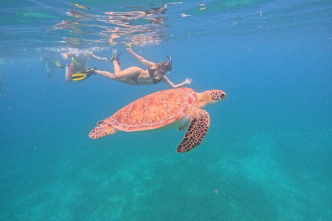 Culebra Swim with Turtles Adventure and Flamenco Beach by Ferry - Who Should Consider This Tour?