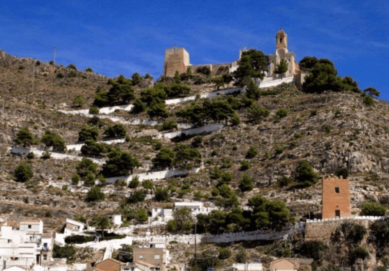 Cullera: History, Beach, and the boat trip to the Albufera - Who Is This Tour Best For?