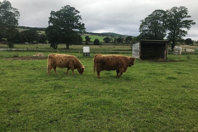 Culloden Battlefield, Clava Cairns and Loch Ness, Urquhart Castle - The Sum Up